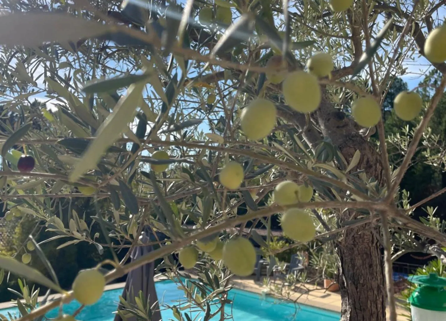 O Coeur Des Ocres Διαμέρισμα Roussillon en Isere 0*,  Γαλλία