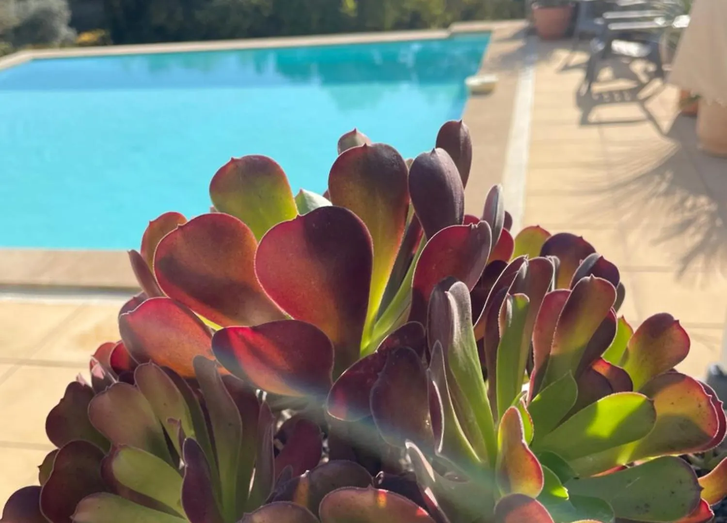 Appartement O Coeur Des Ocres à Roussillon en Isere France