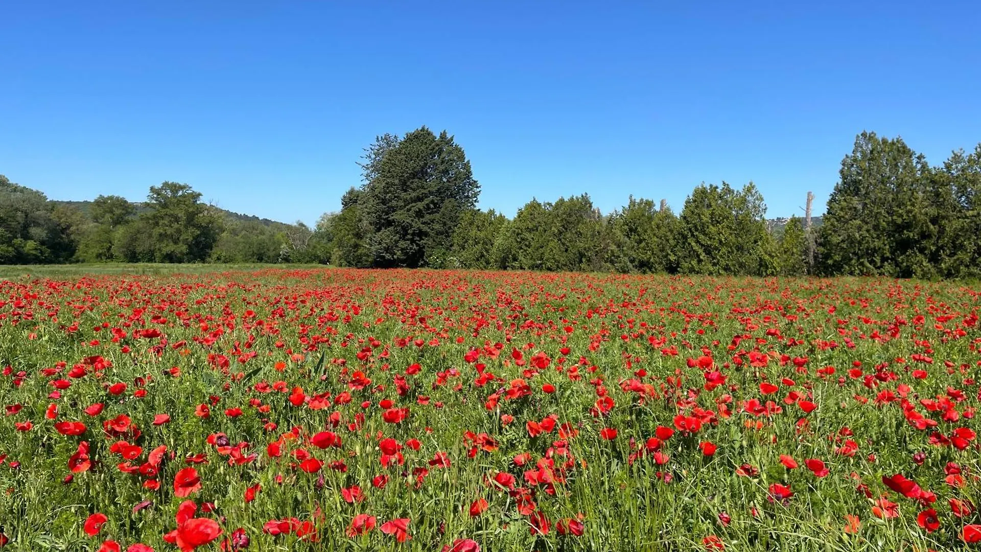 O Coeur Des Ocres Διαμέρισμα Roussillon en Isere 0*,  Γαλλία