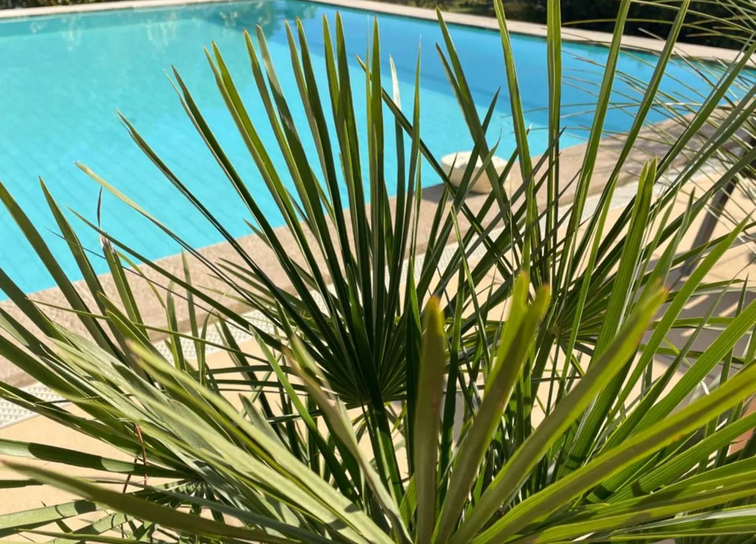 O Coeur Des Ocres Apartment Roussillon